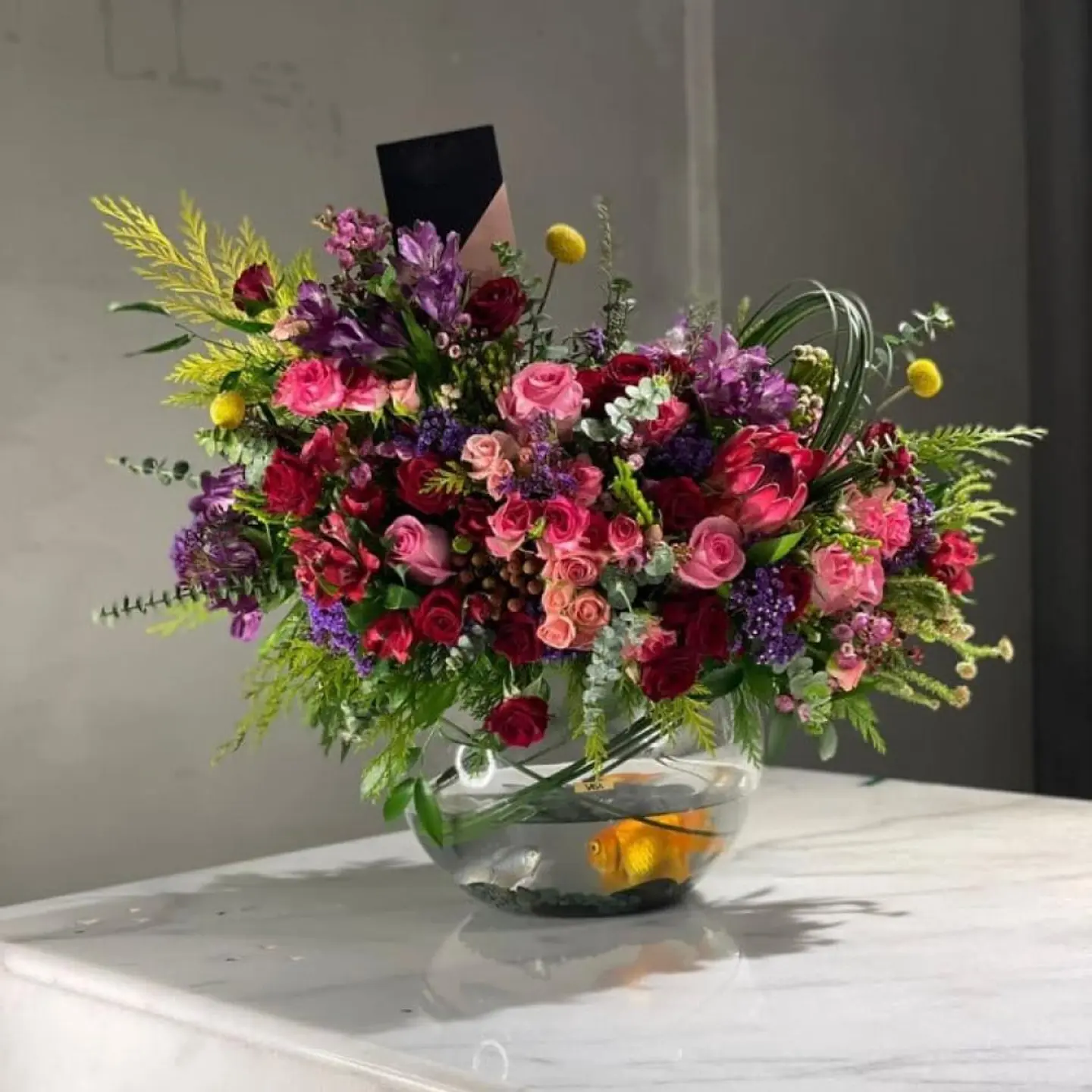 فازة أنفاس الفن