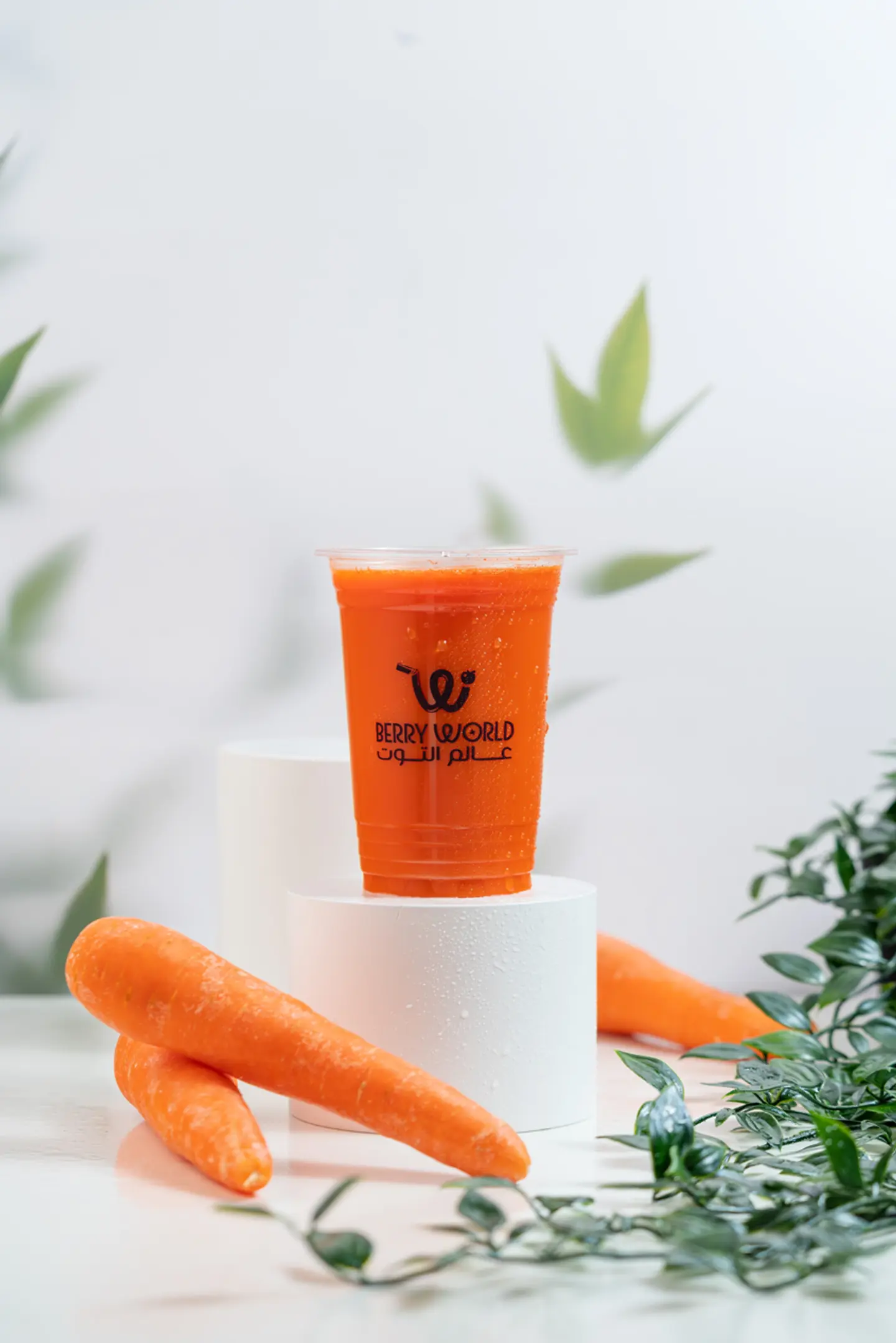 Carrot Juice - Medium