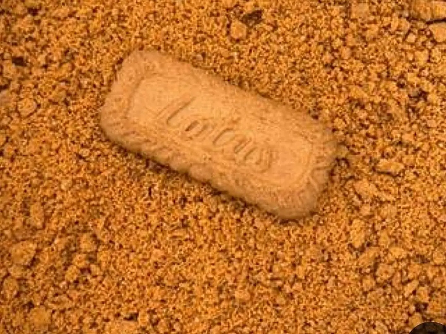 لوتس