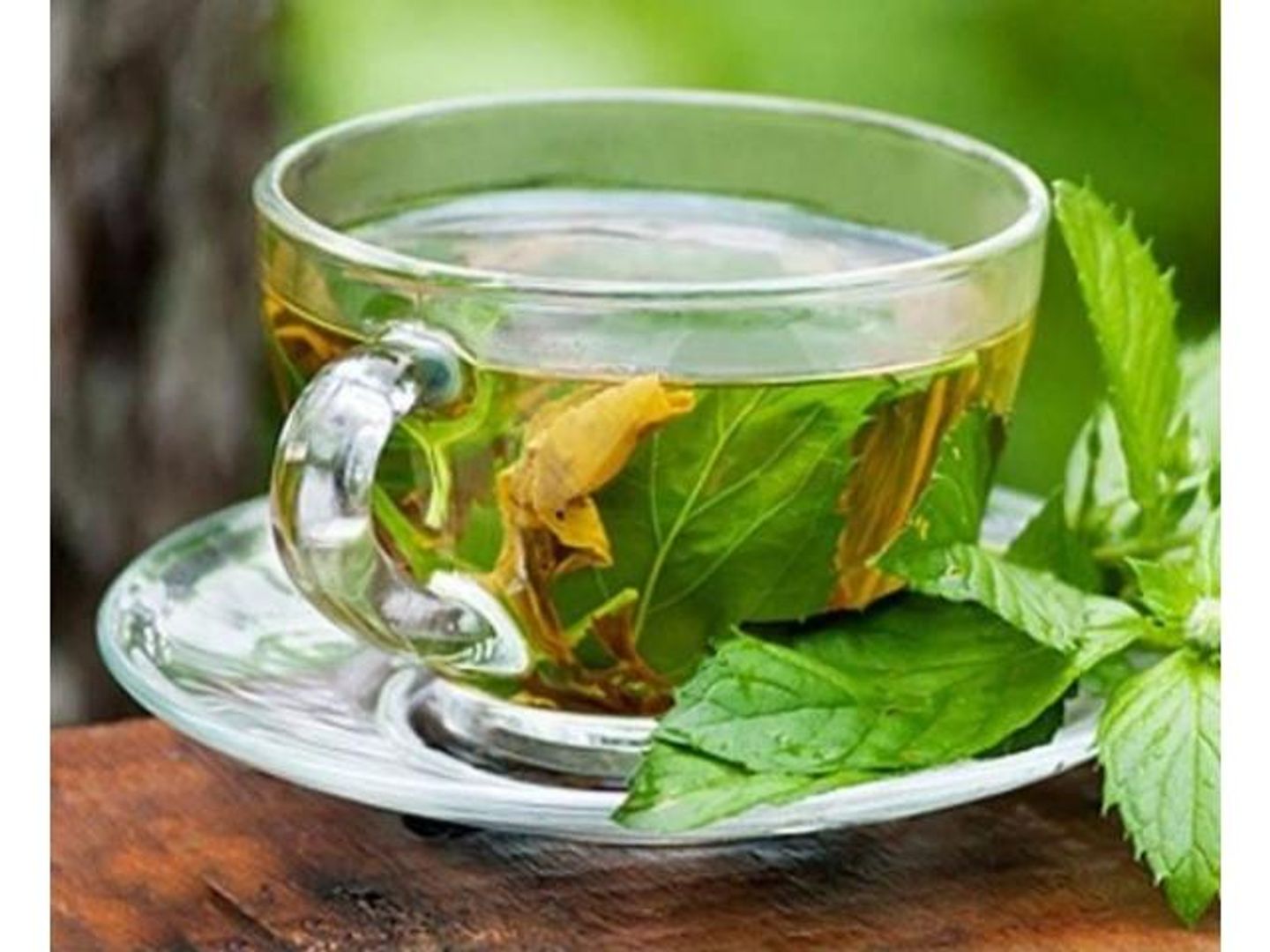 Green Tea With Mint
