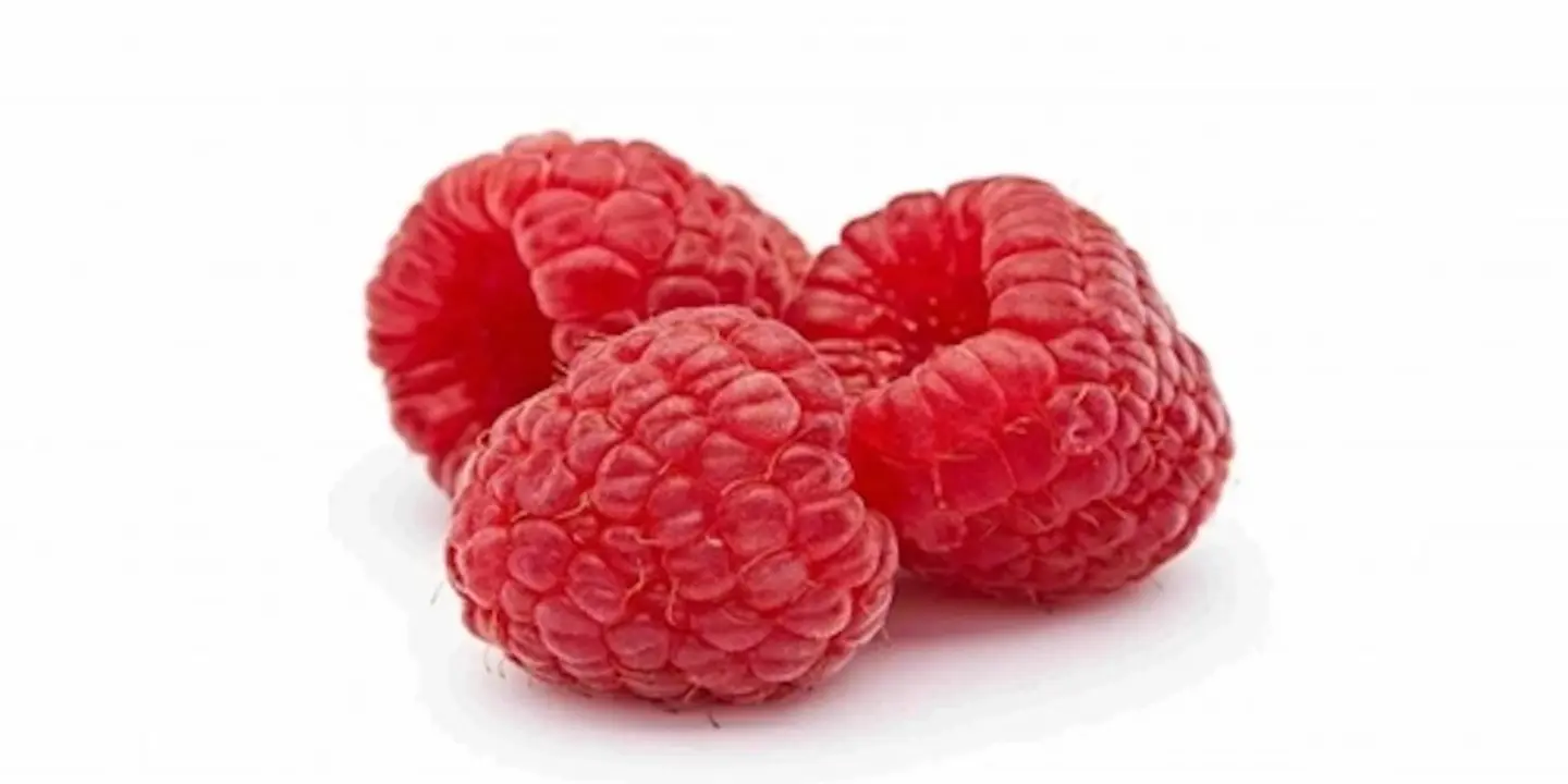 توت طبيعي طازج