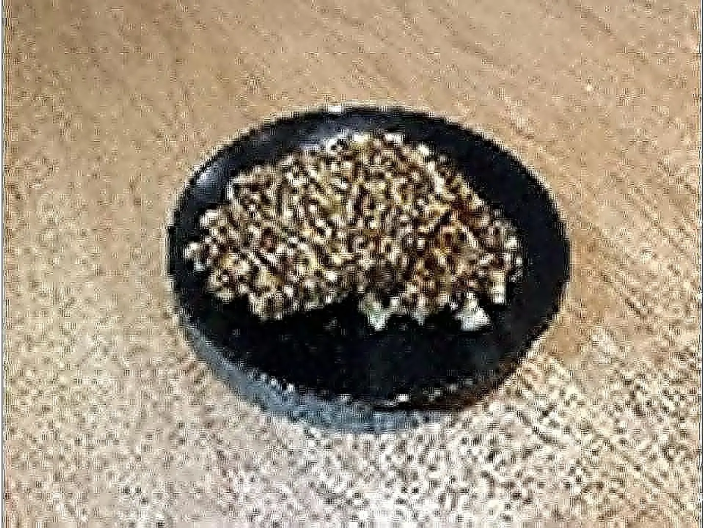 Chocolate Waffle + (Hot Drink, Tea Talqeem Or Karak)