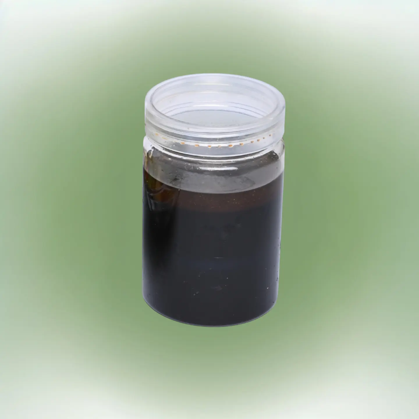 صوص جرجير - كبير