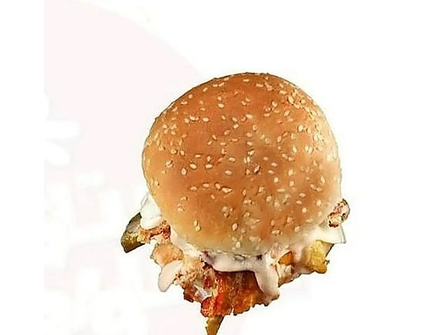 Shawarma Burger