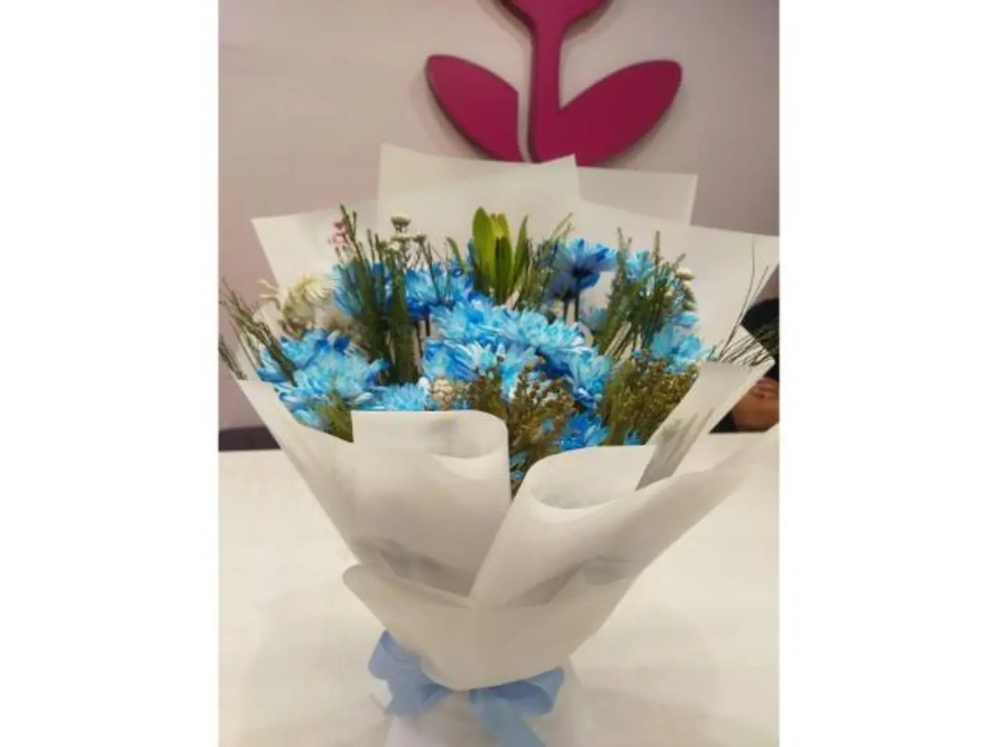 بوركية سبرينج