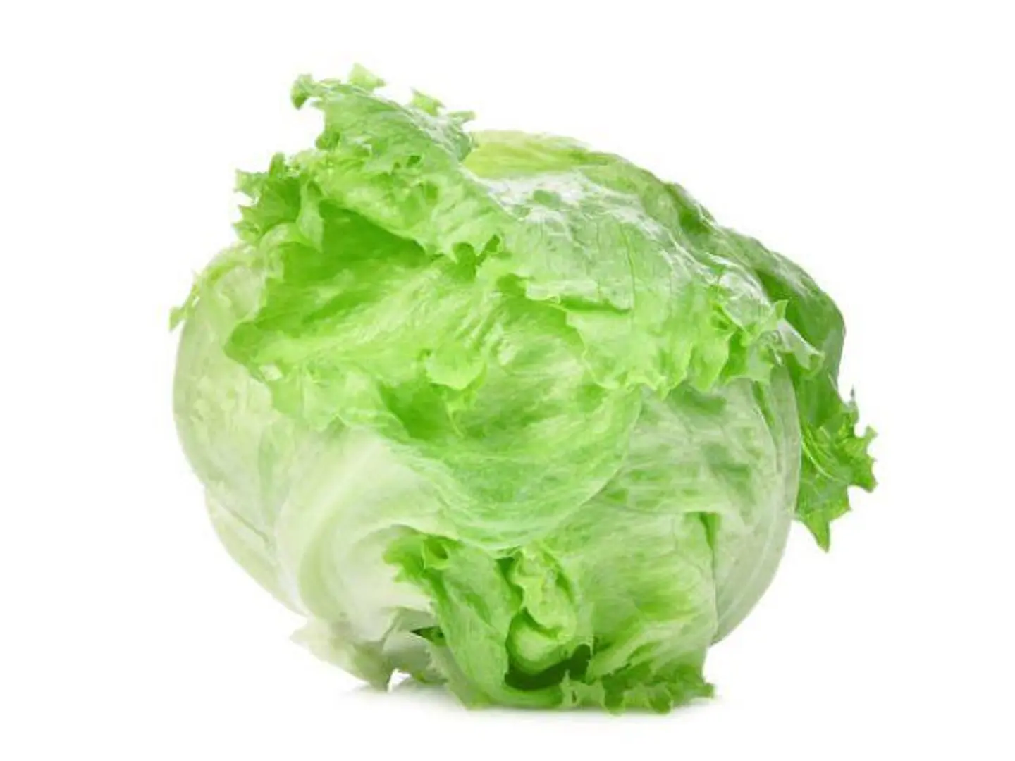 American Lettuce