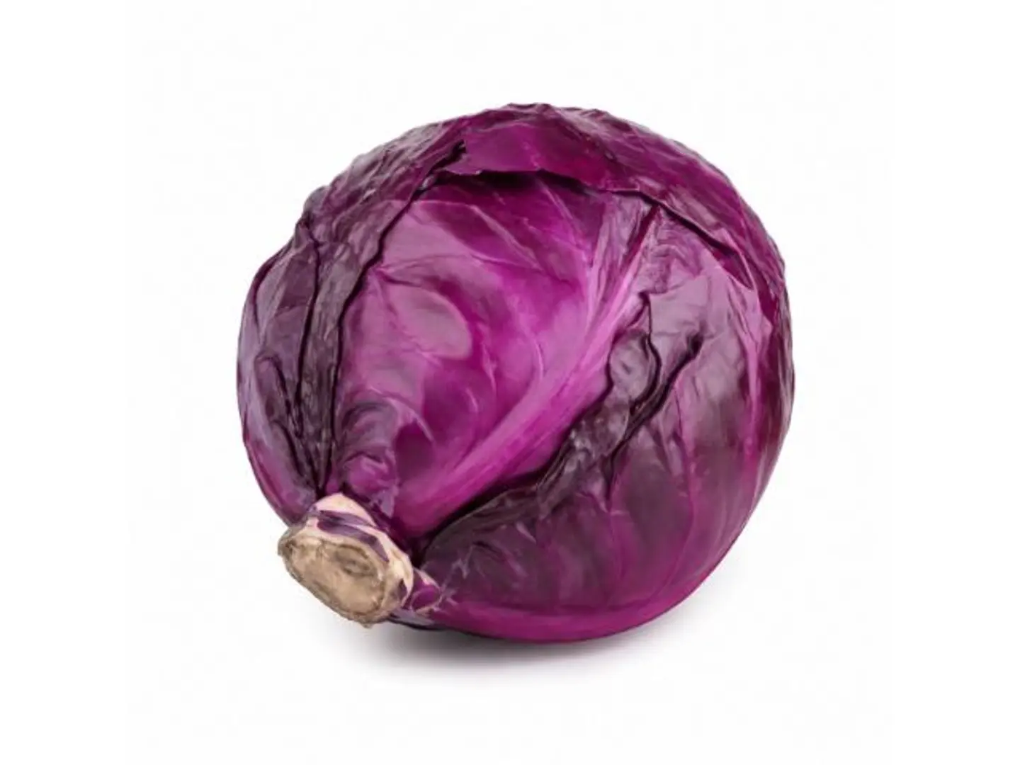 Red Cabbage