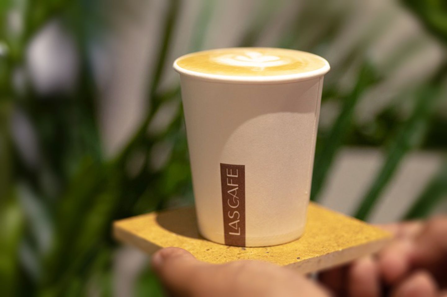 Flat White Hot