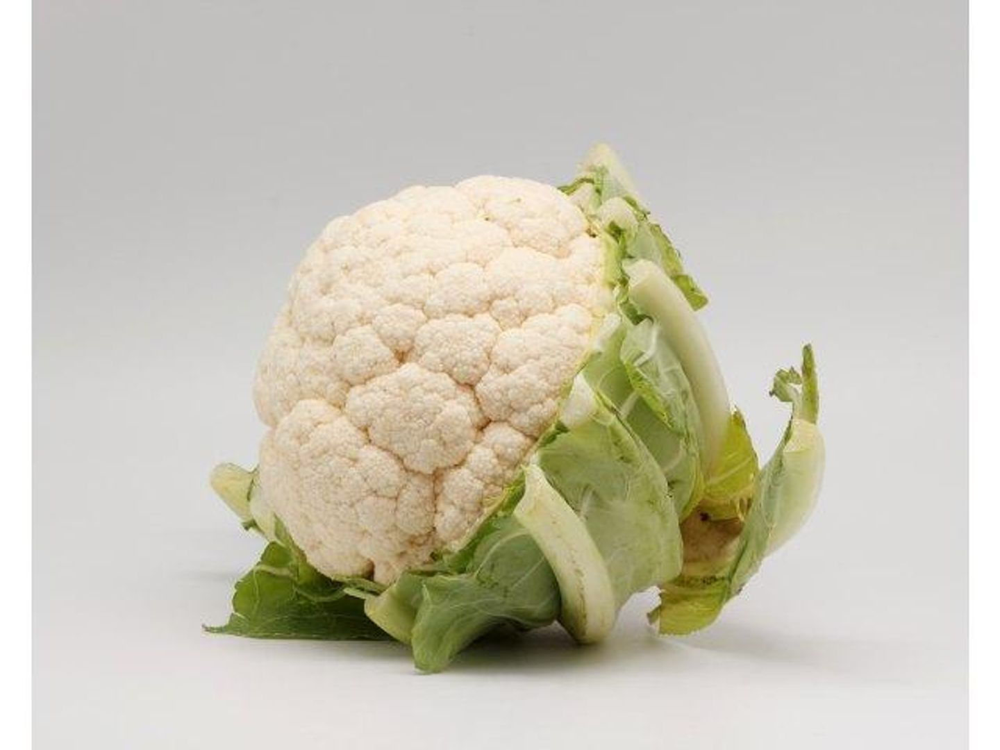 White Cauliflower Flower