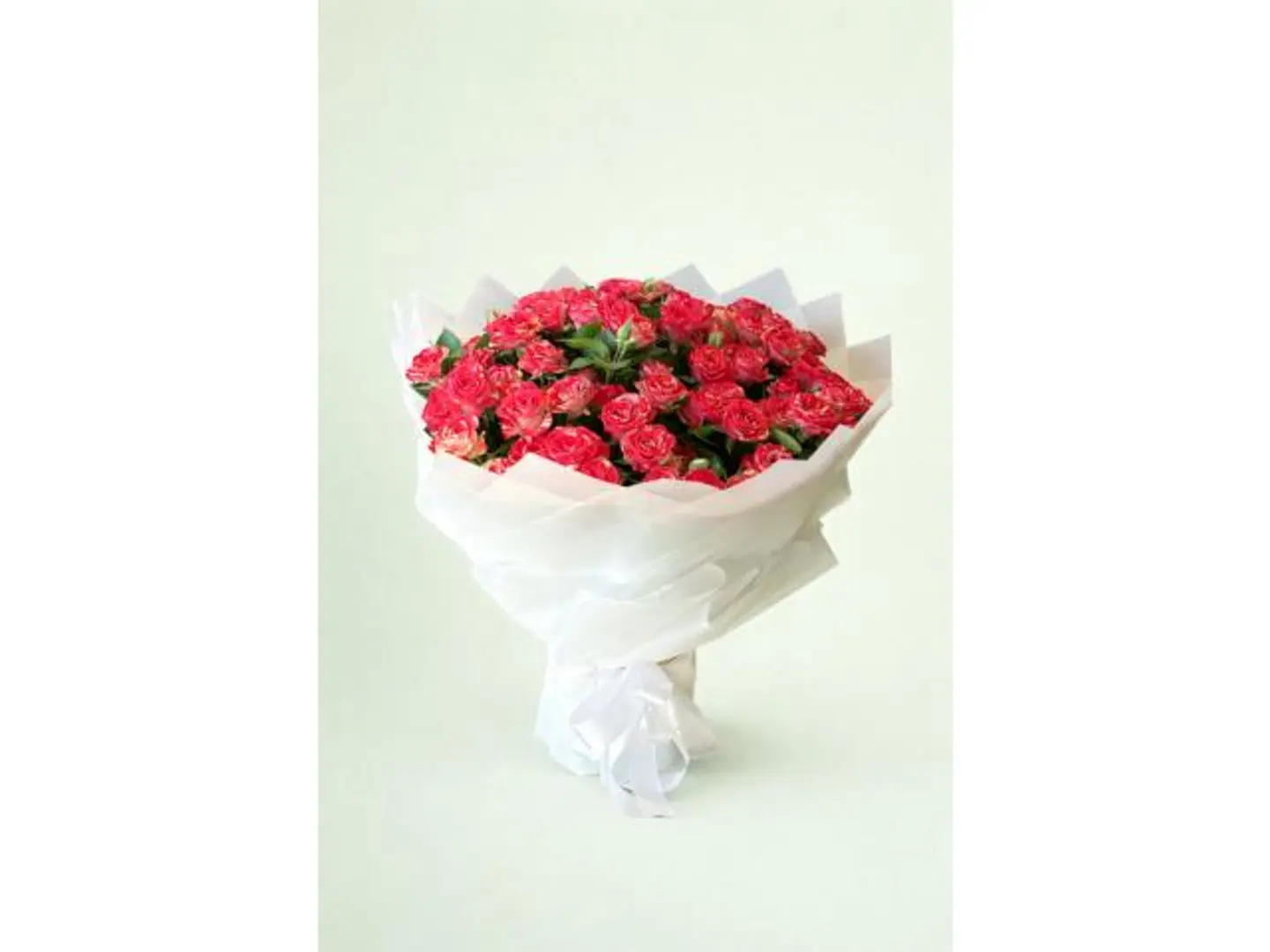 بوكية حبك ليس في عقلي فقط، بل ينبض به قلبي وروحي