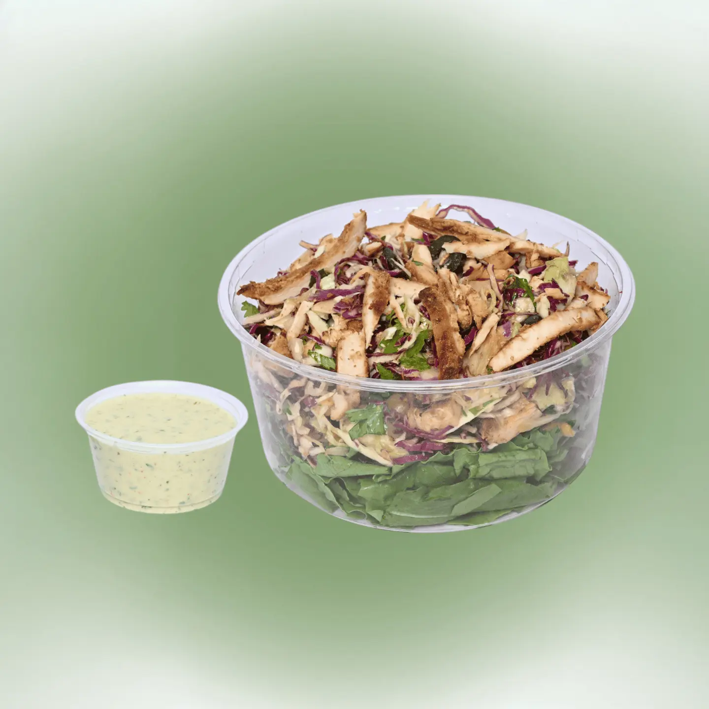 سلطة سيلانترو - كبير