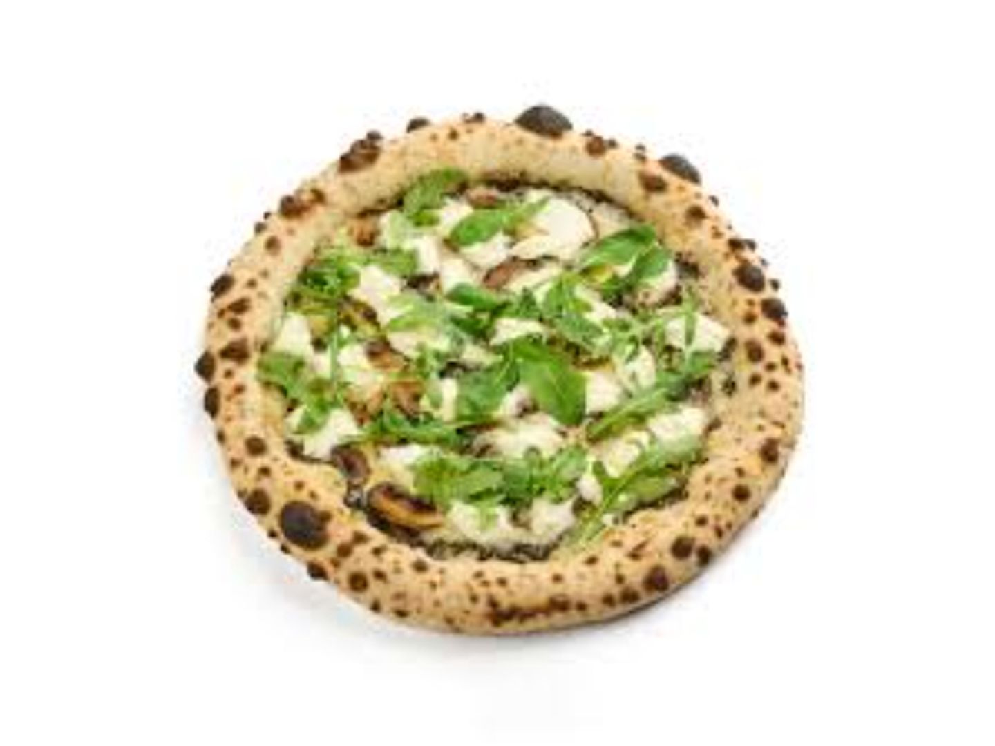 Truffle Mushroom