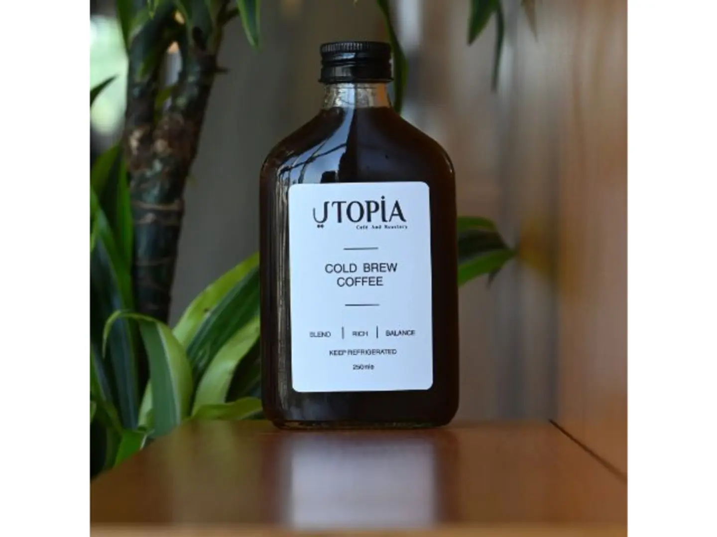 Cold Brew