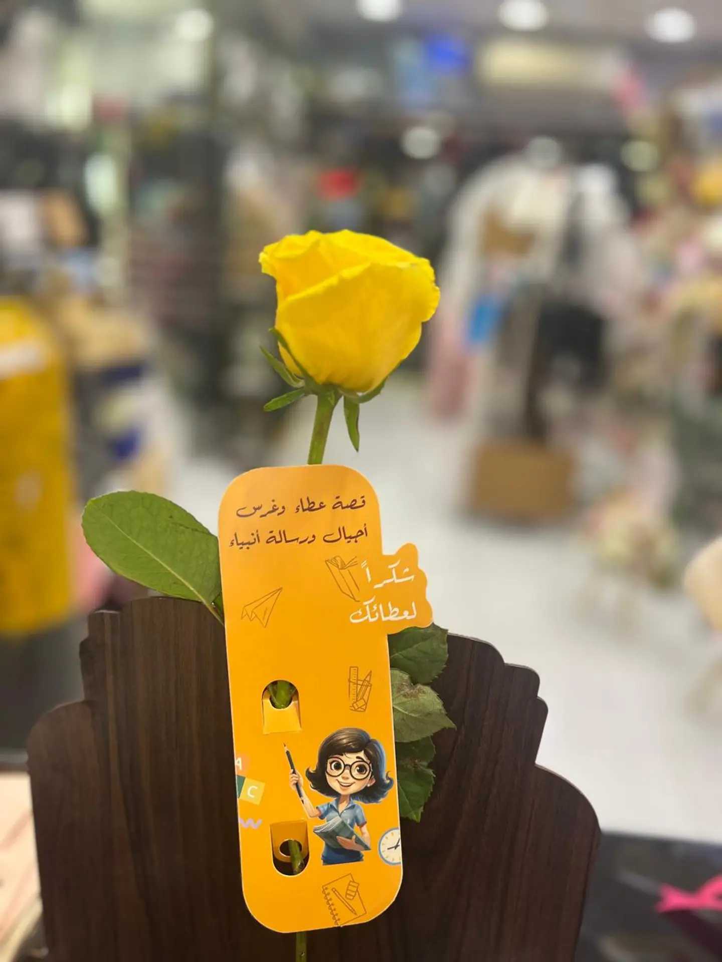 توزيعة المعلم 24