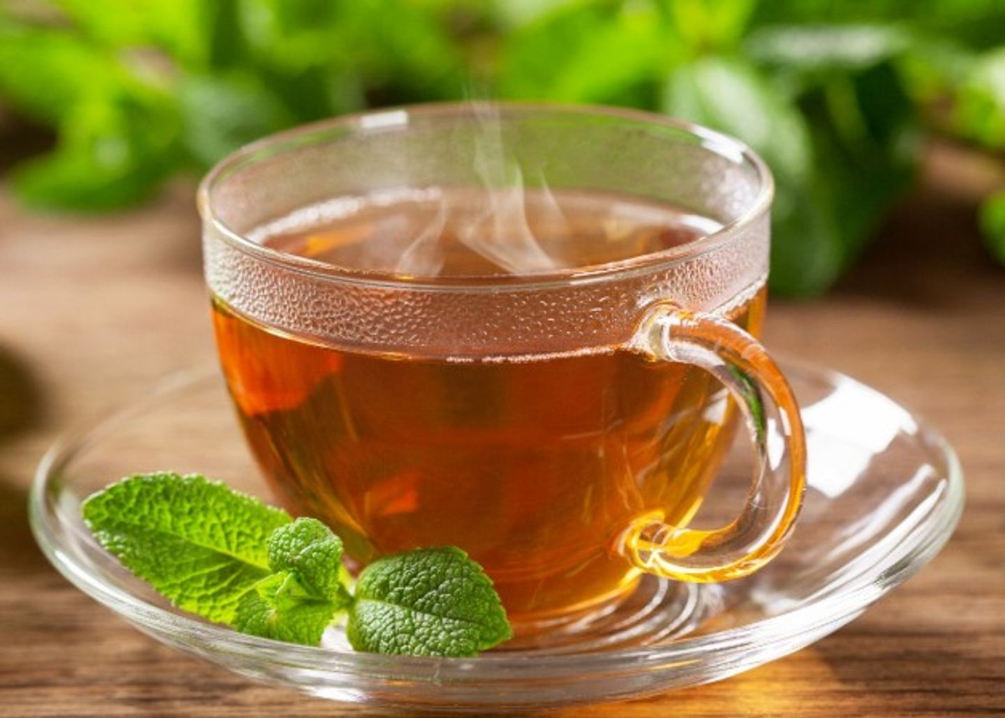 Tea With Mint