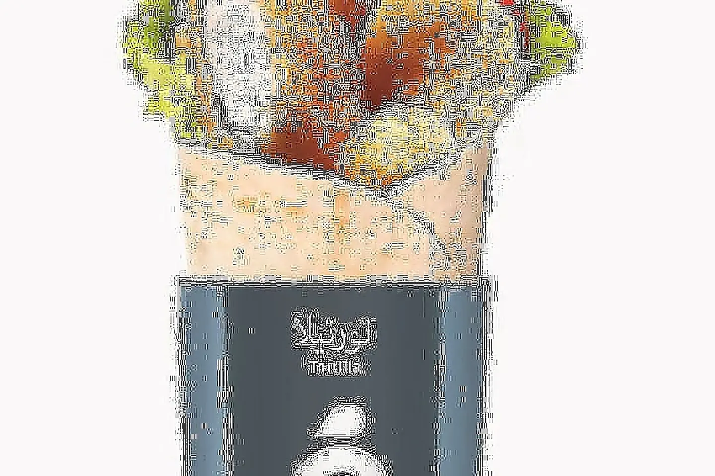 Fish Tortilla