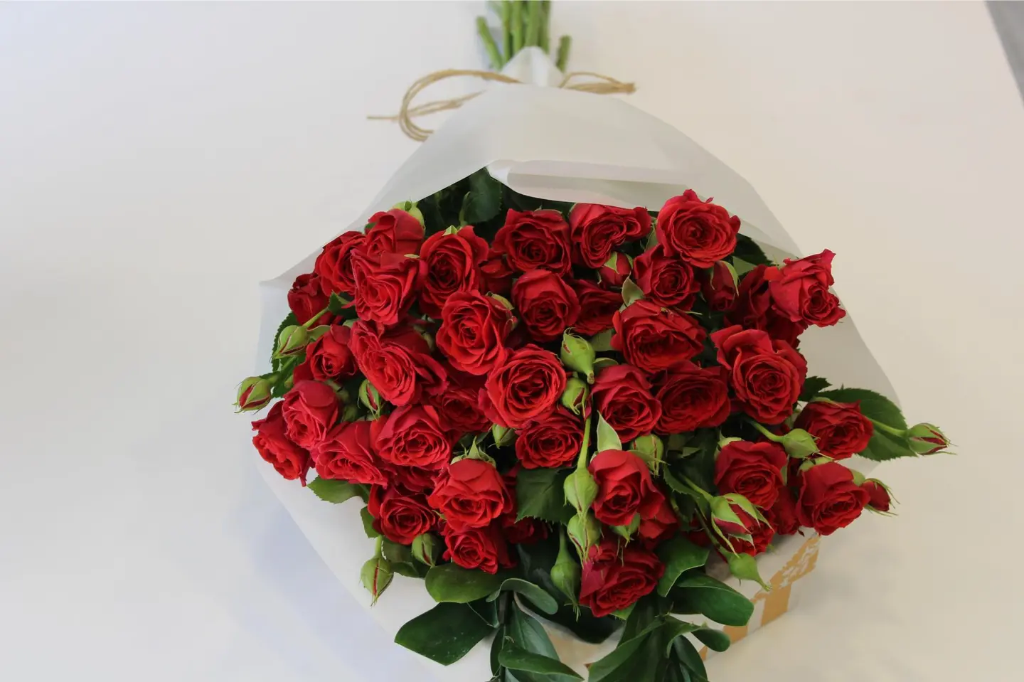 باقة لونا