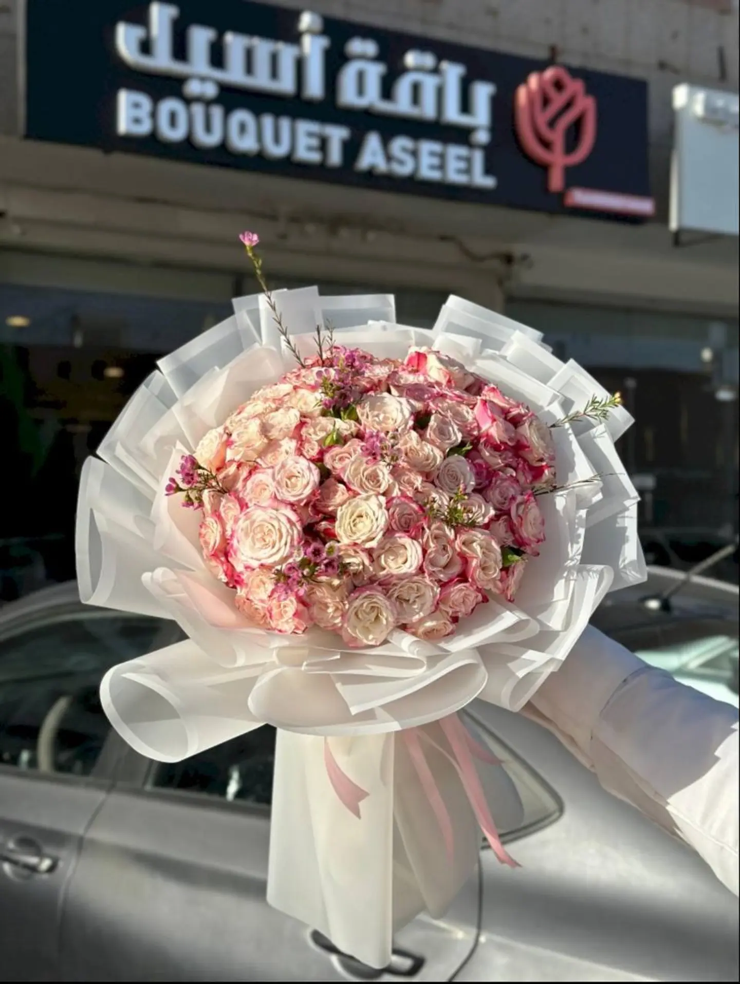 Aseel Package