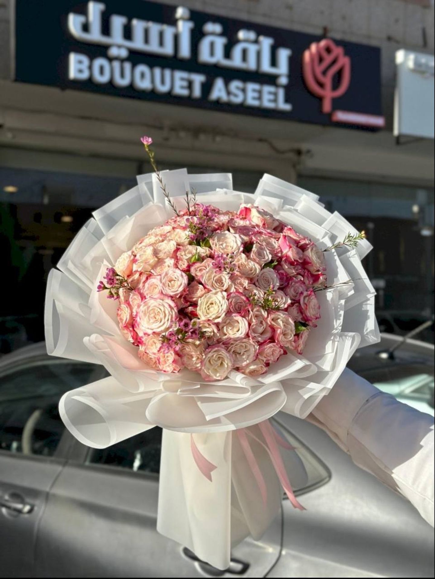 Aseel Package