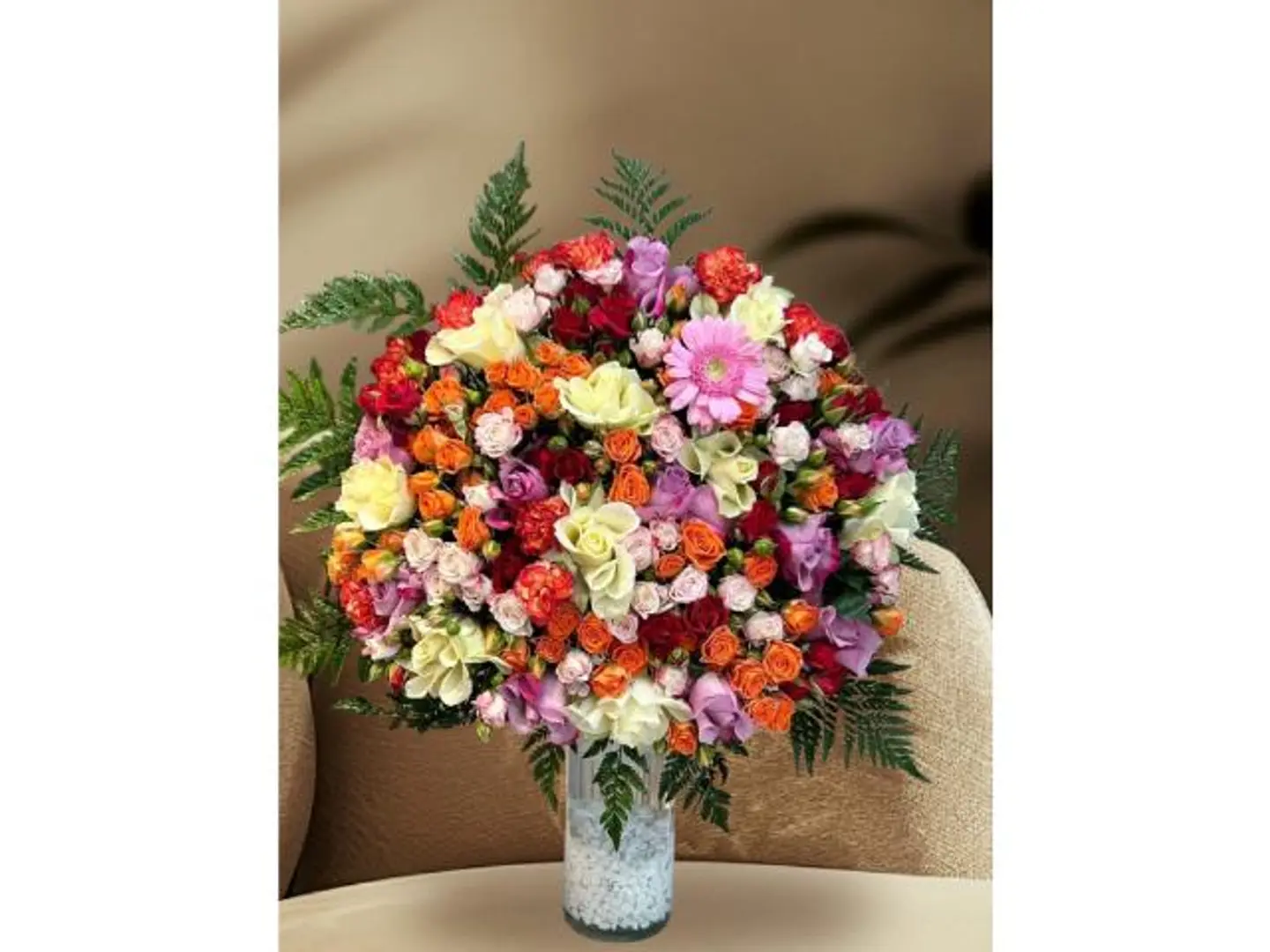 فازه اليبي روز المكس والروز المكس