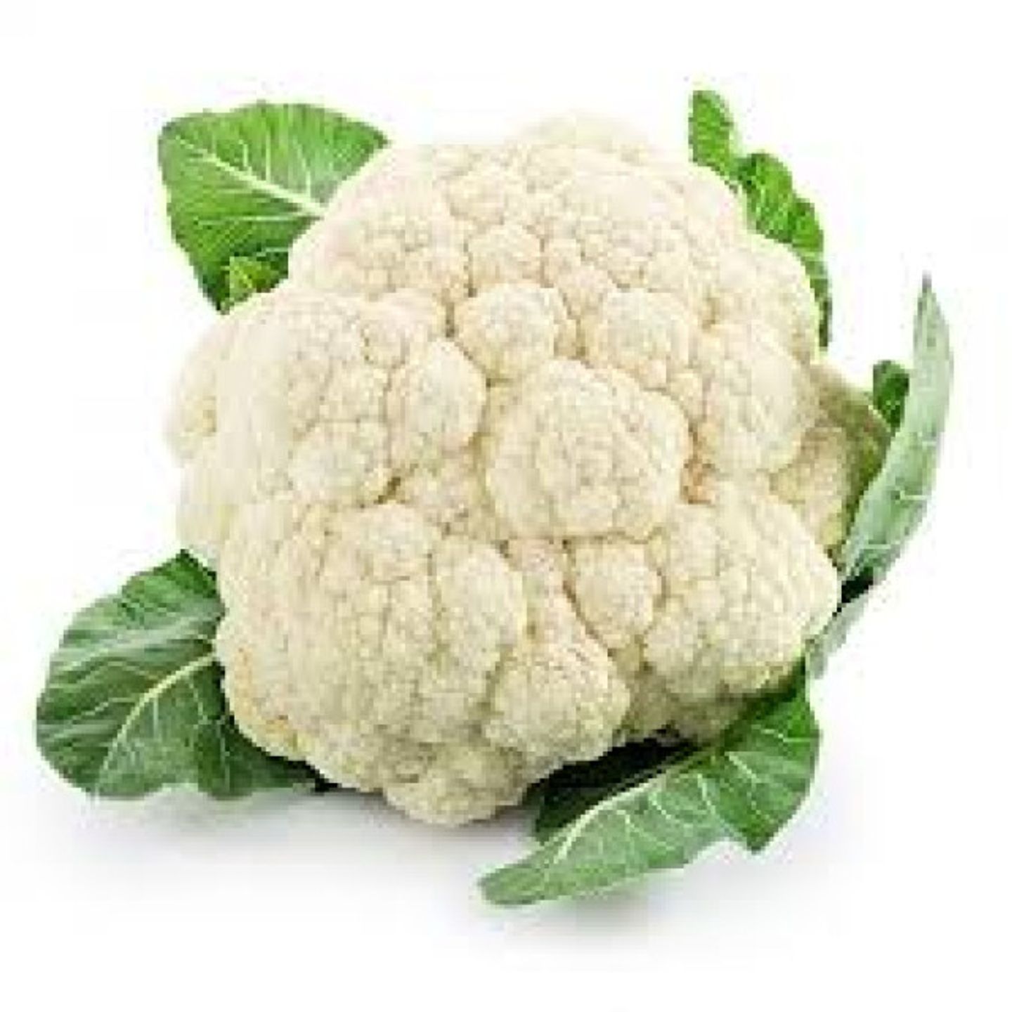 زهره
