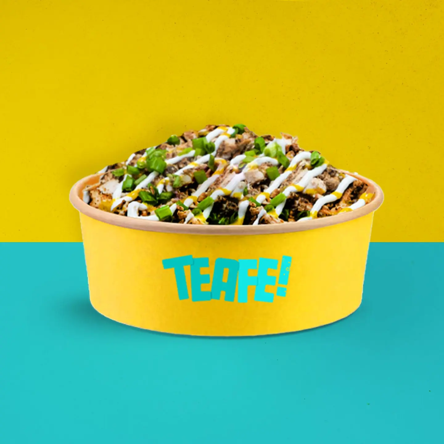 Loaded Beef Barbecue Fries