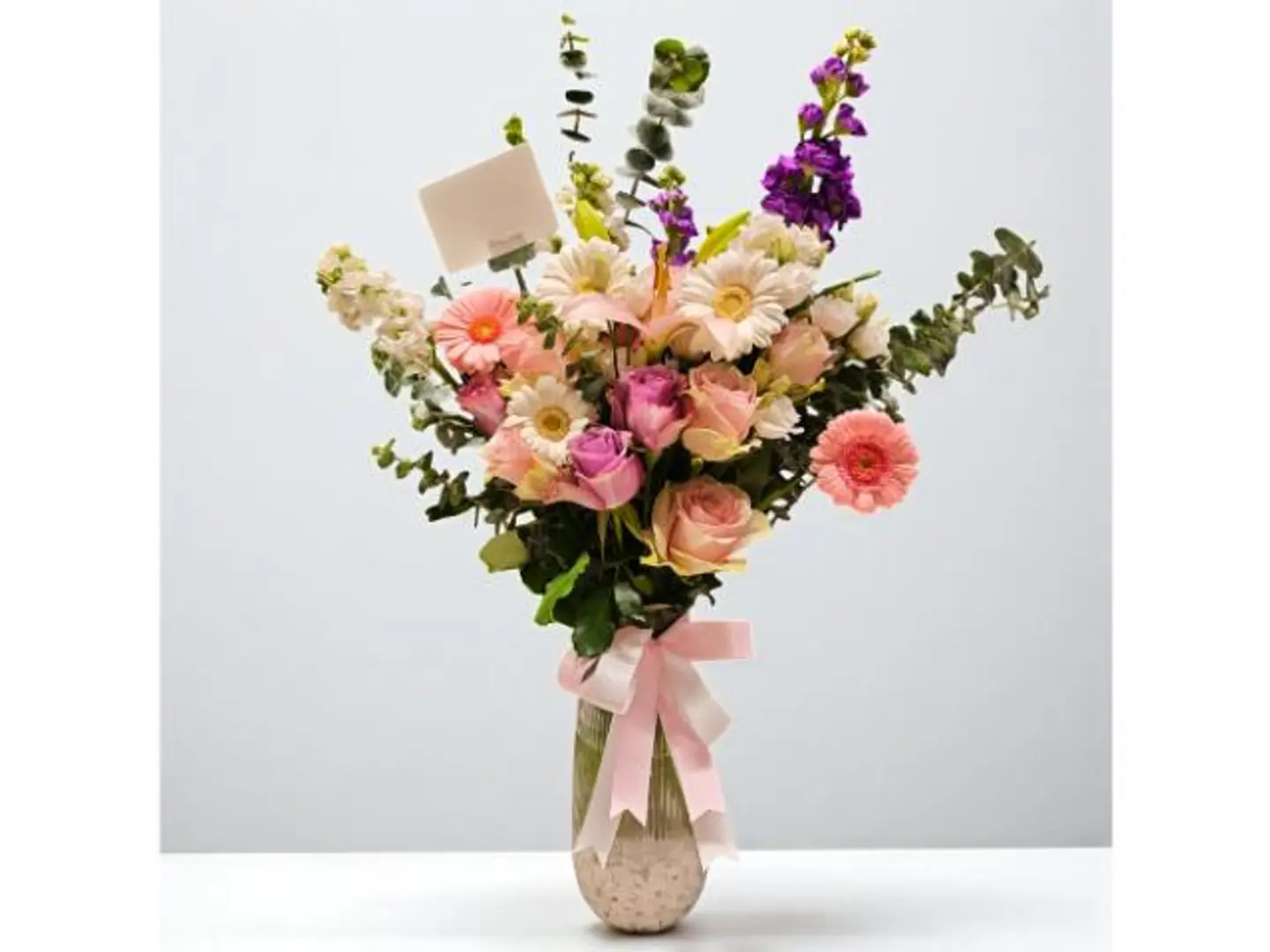 فازه ورد مكسد بليس