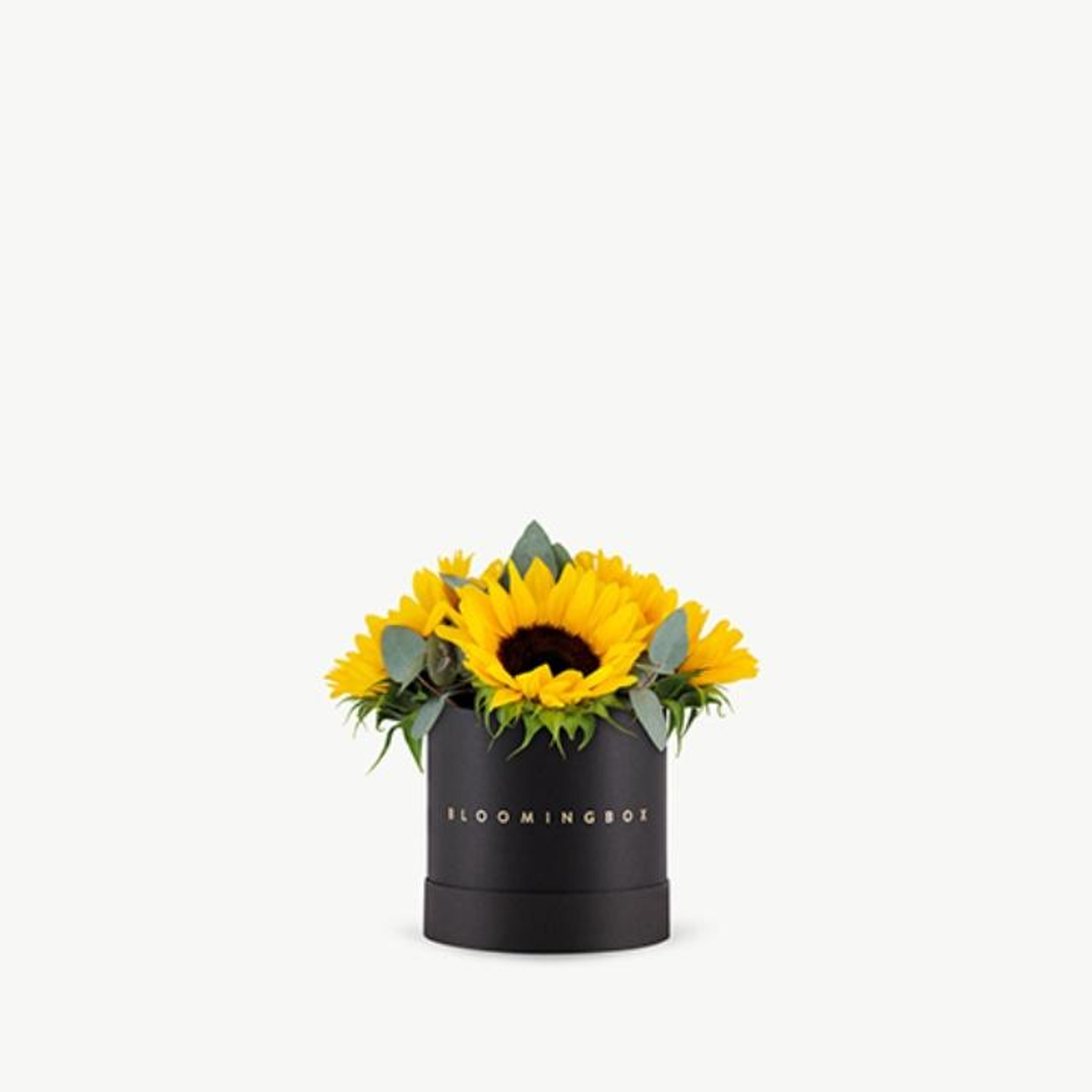 Classic Sunflowers Box Small