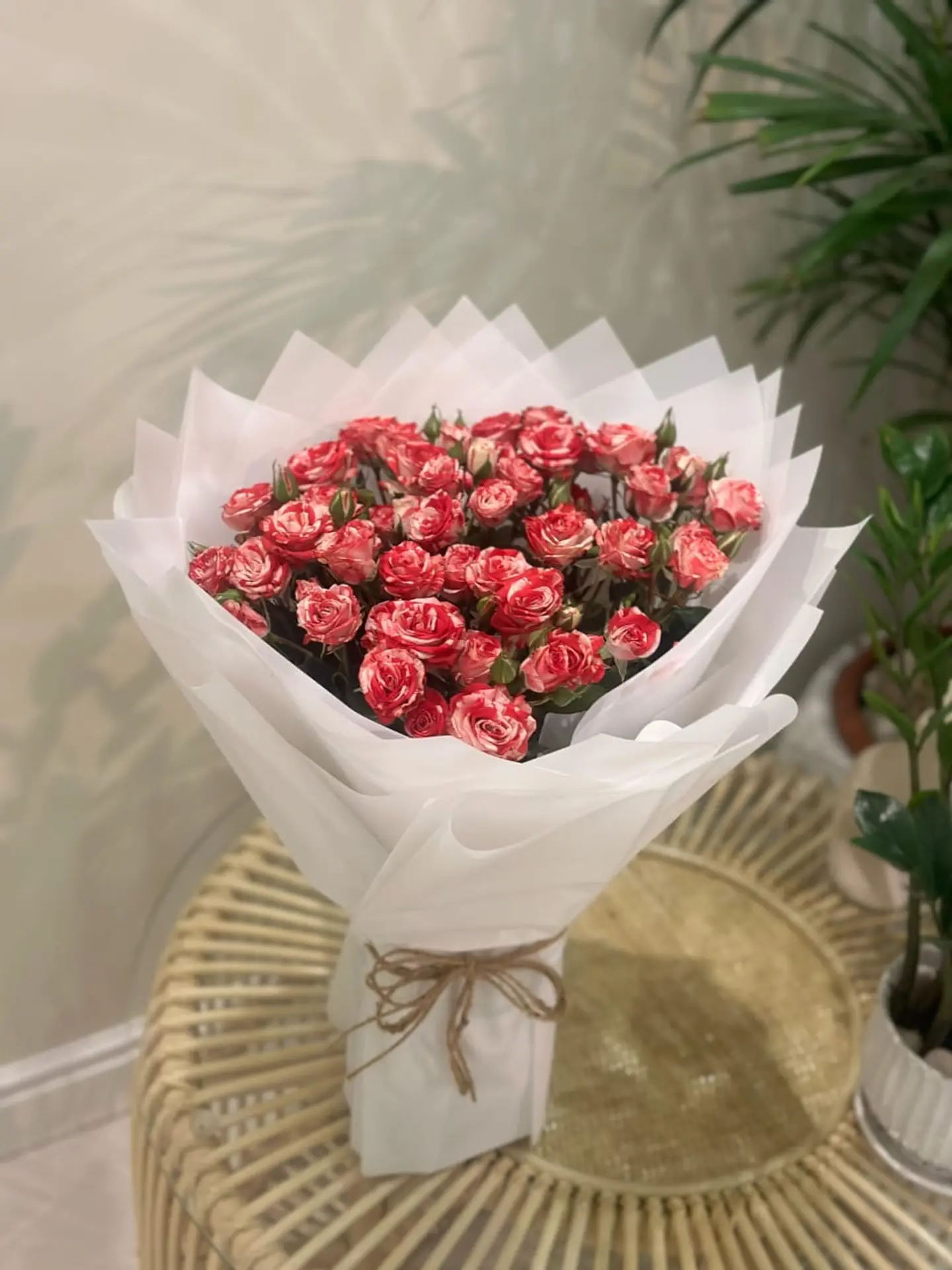 باقة الاناقة ٢