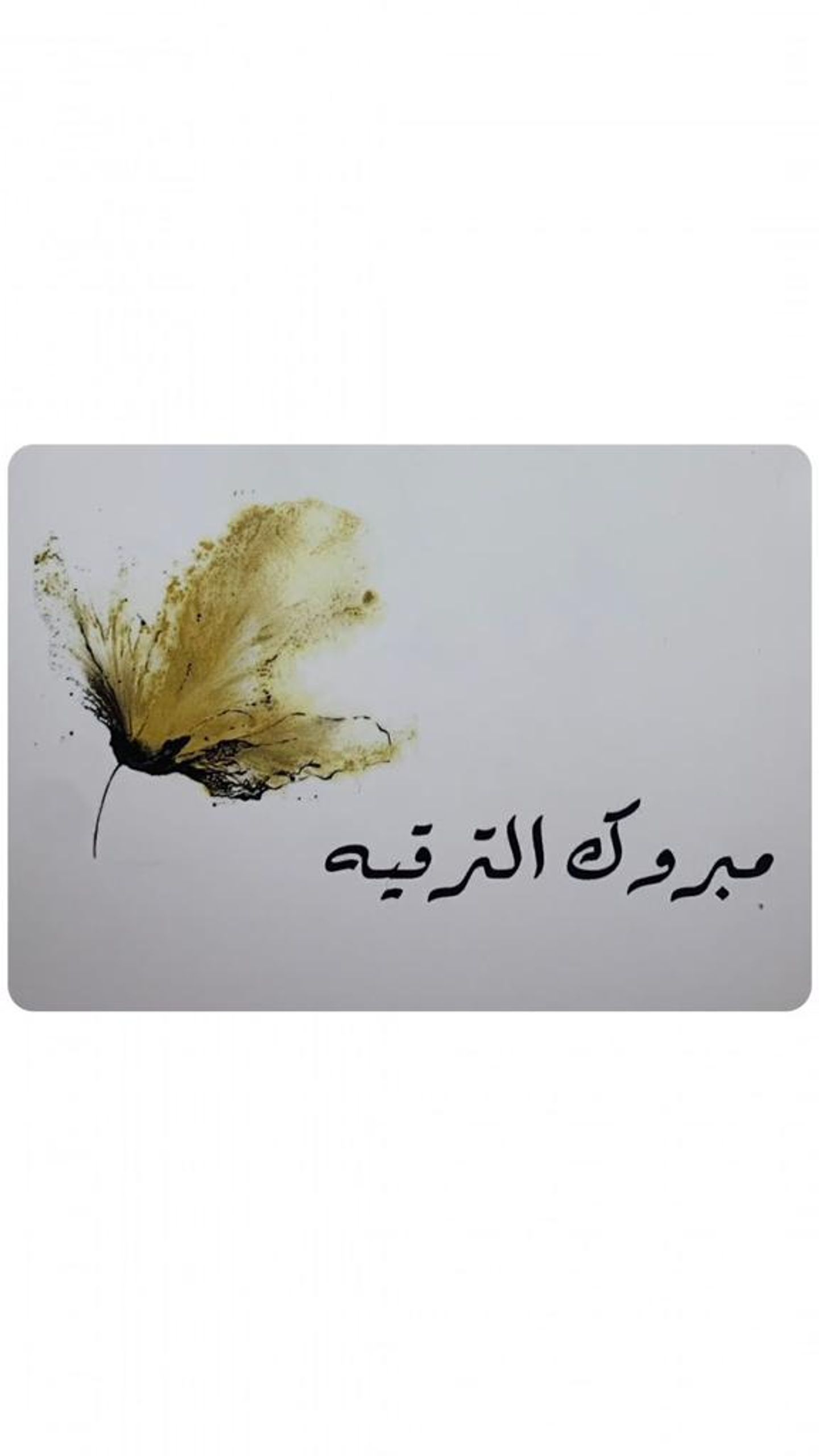 Card16
