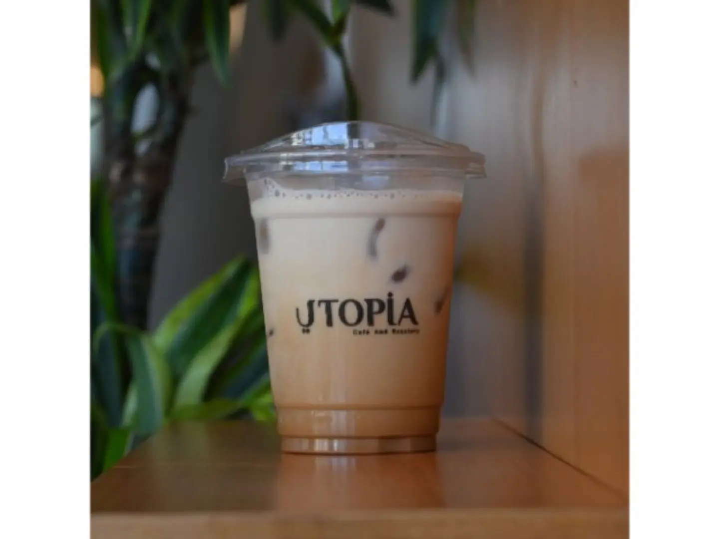 Iced Latte