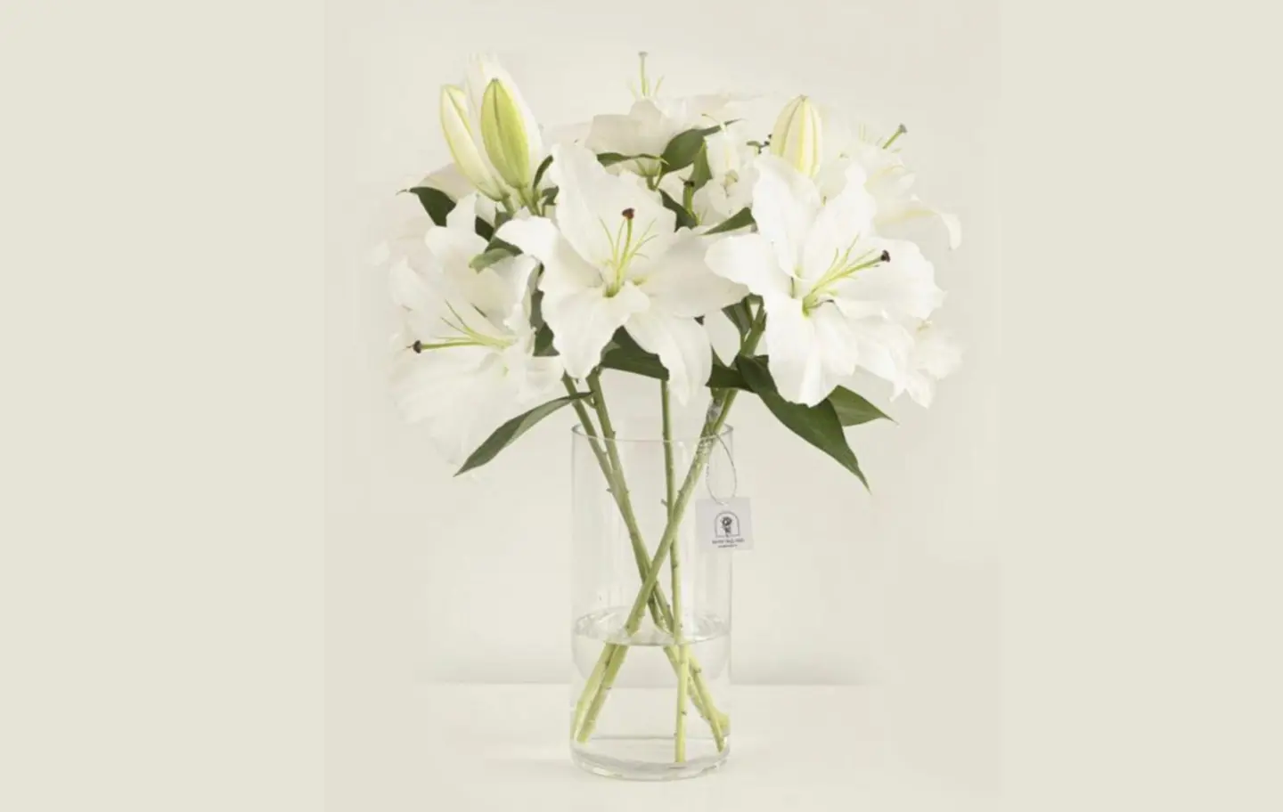 Natural Rose Vase D