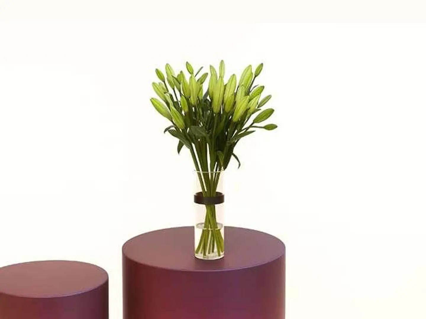 Casablanca Vase