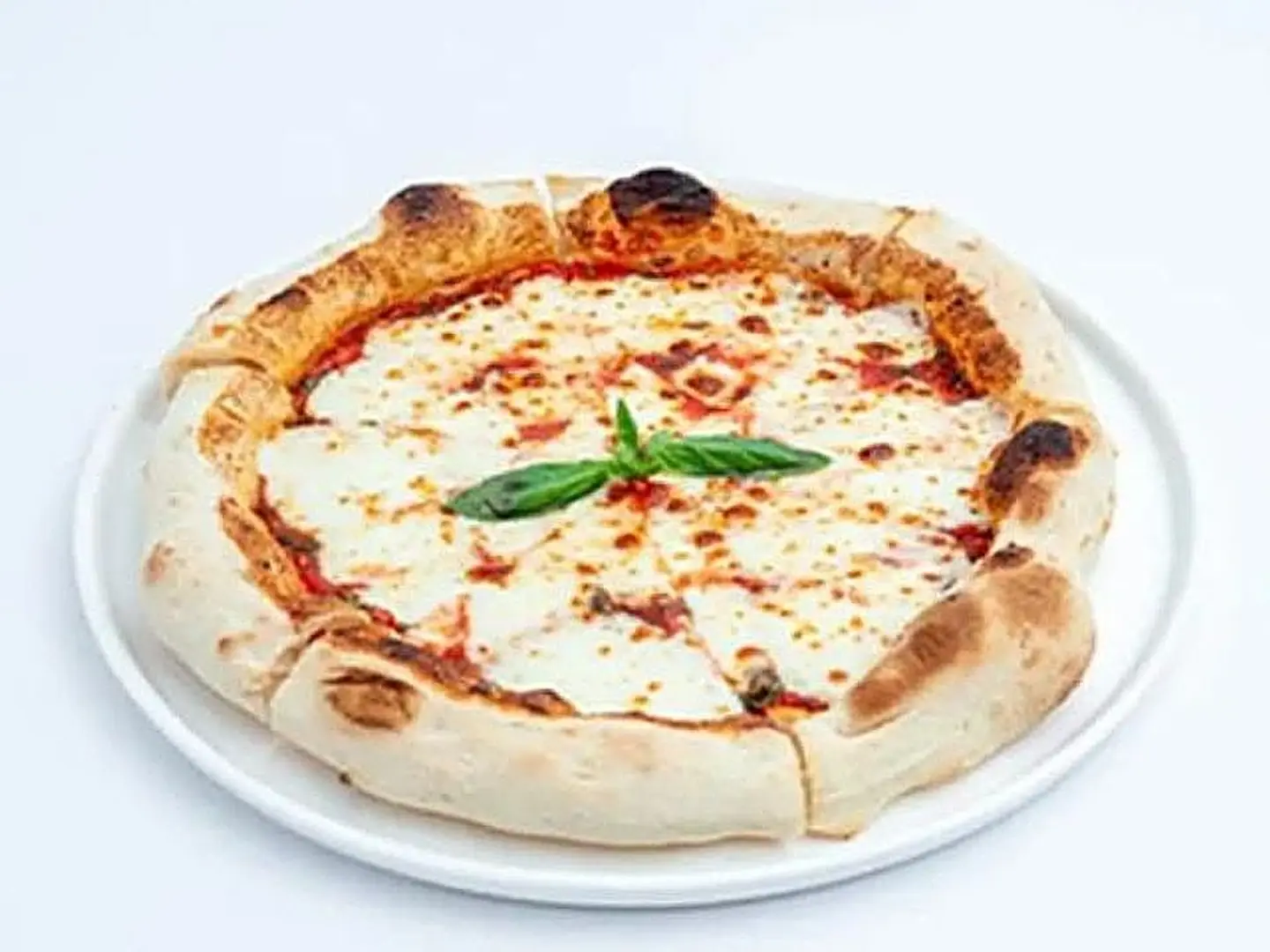 مارغريتا وسط