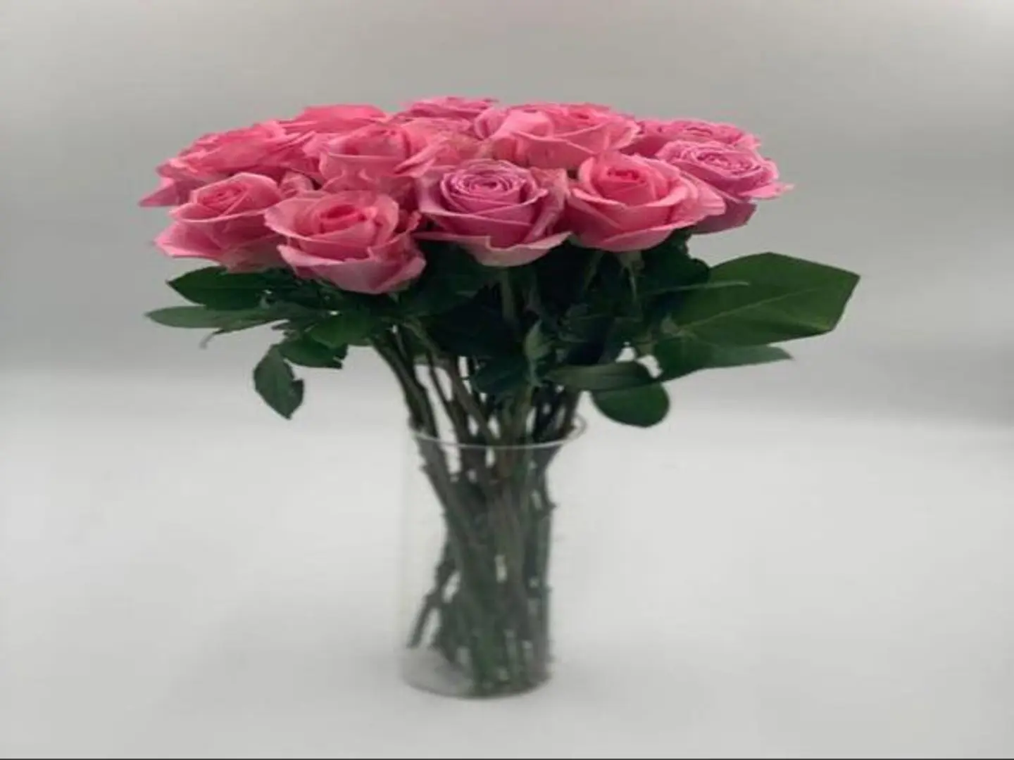 Pink Damask Rose 15 Pieces