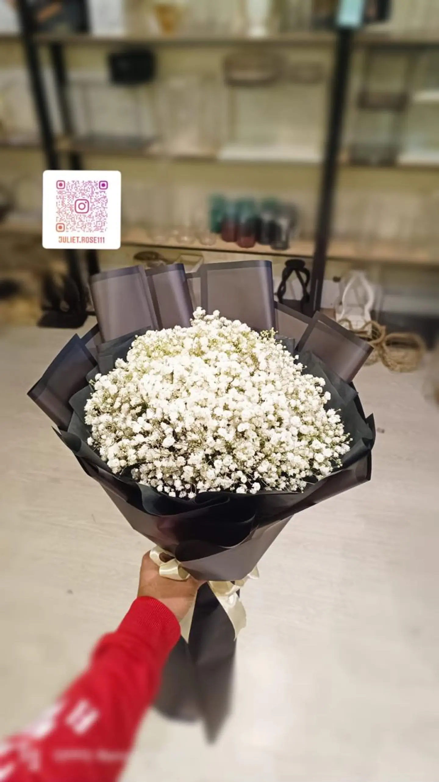 Gypsophila Medium
