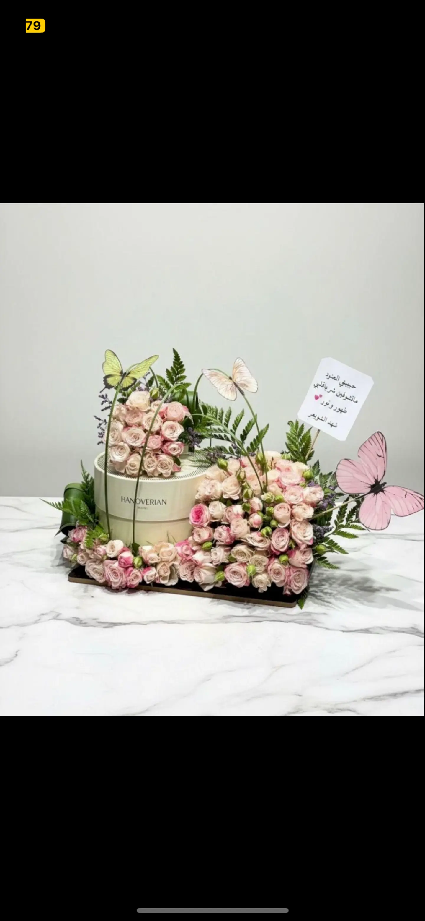 هنوفيرين مع استاند ورد بيبي روز 717