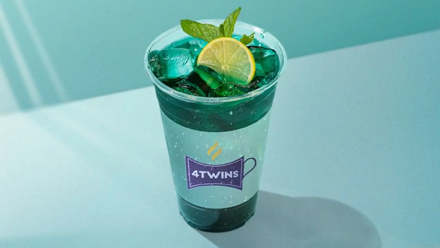 Blueberry Mojito