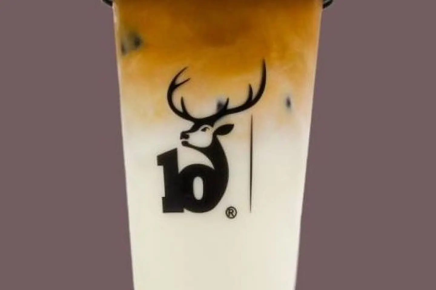 Iced Spanish Latte