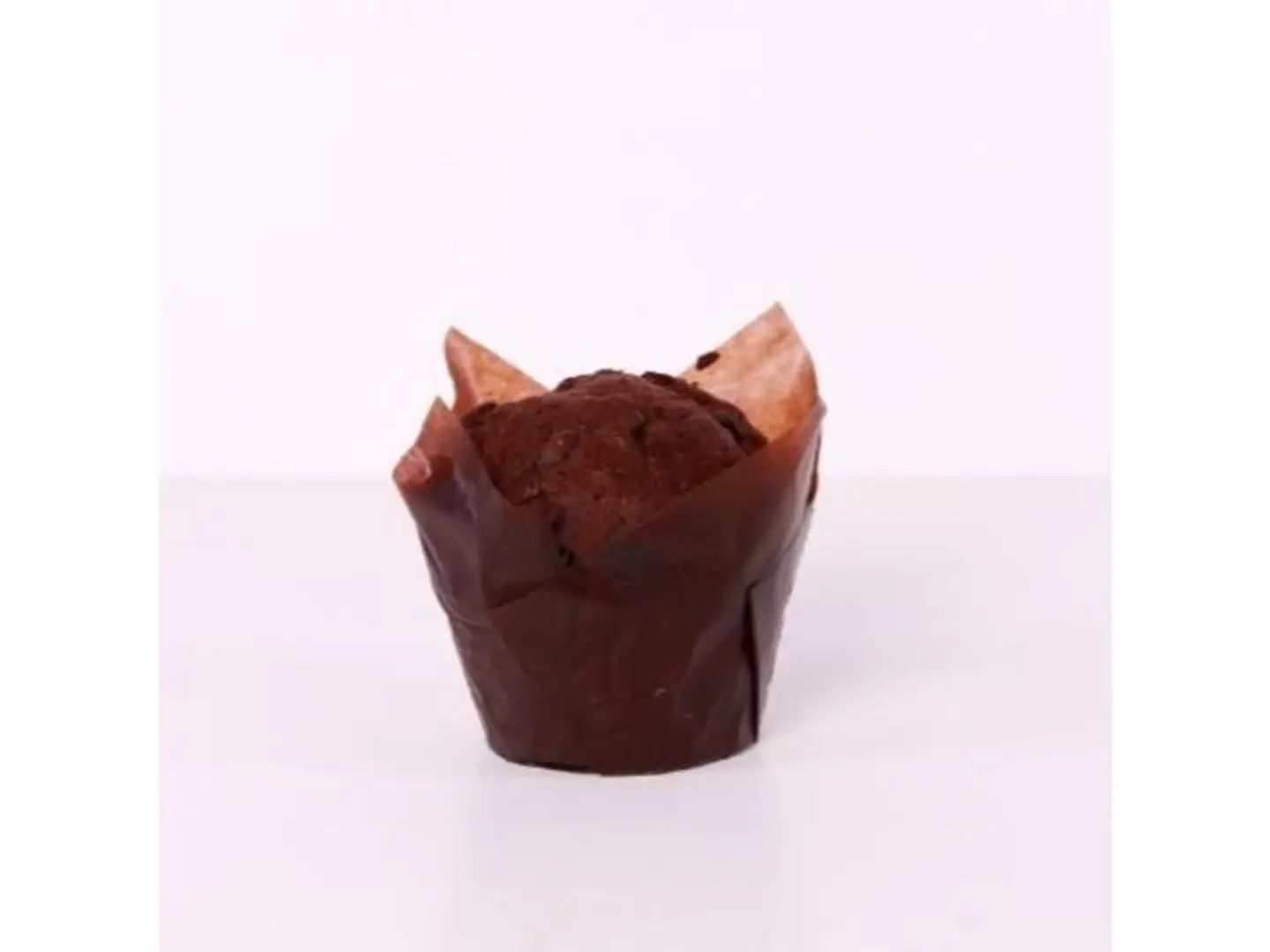Chocolate Muffin