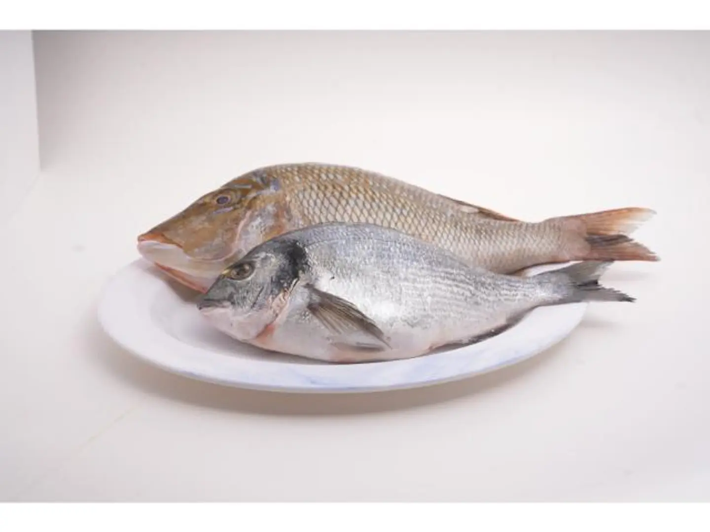 Emperor Fish