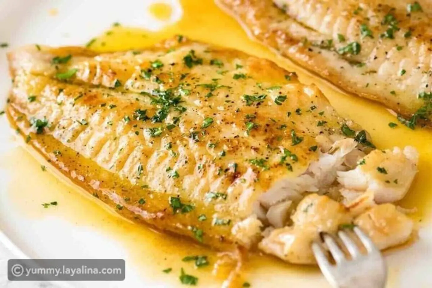 Grouper Fish Fillet With Butter And Lemon Sauce