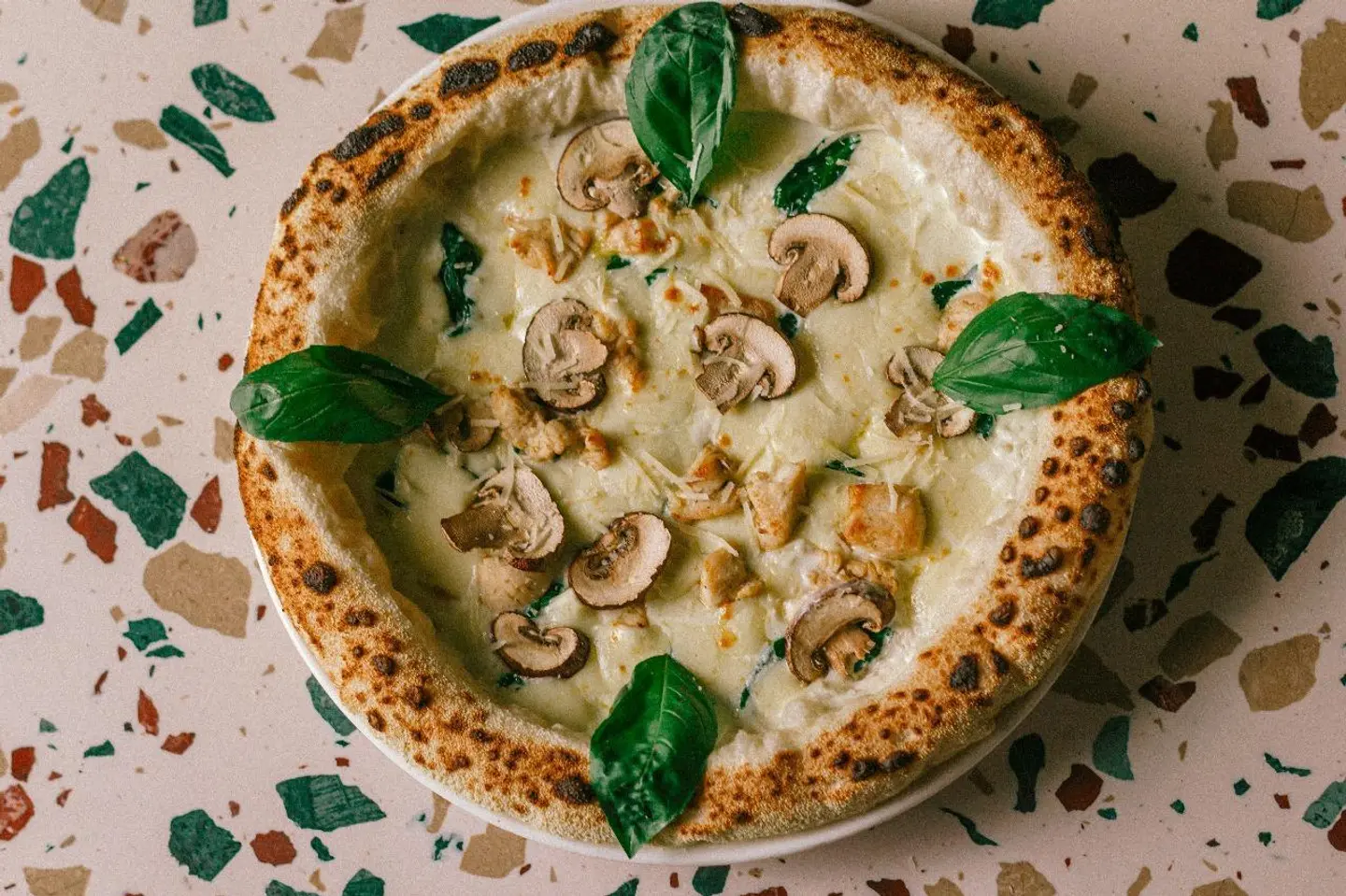 Chicken Alfredo Pizza