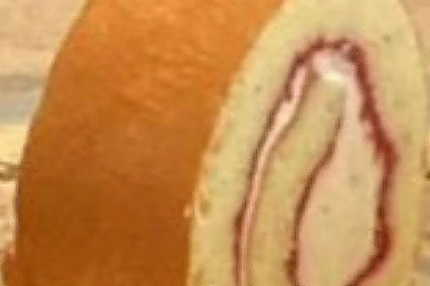 Swiss Roll