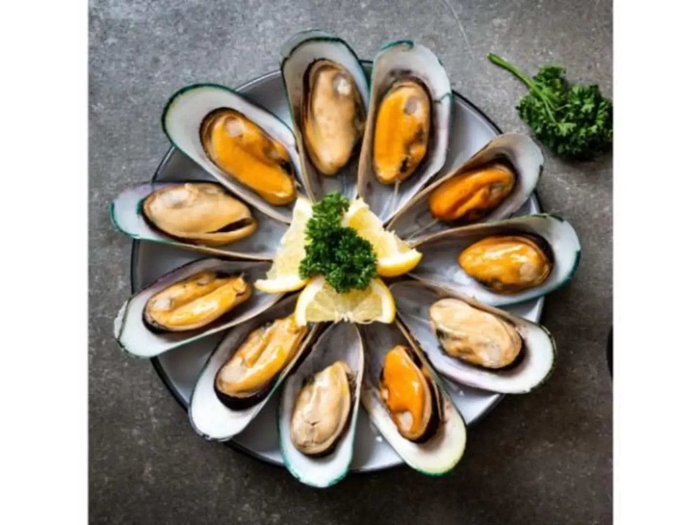 Mussels