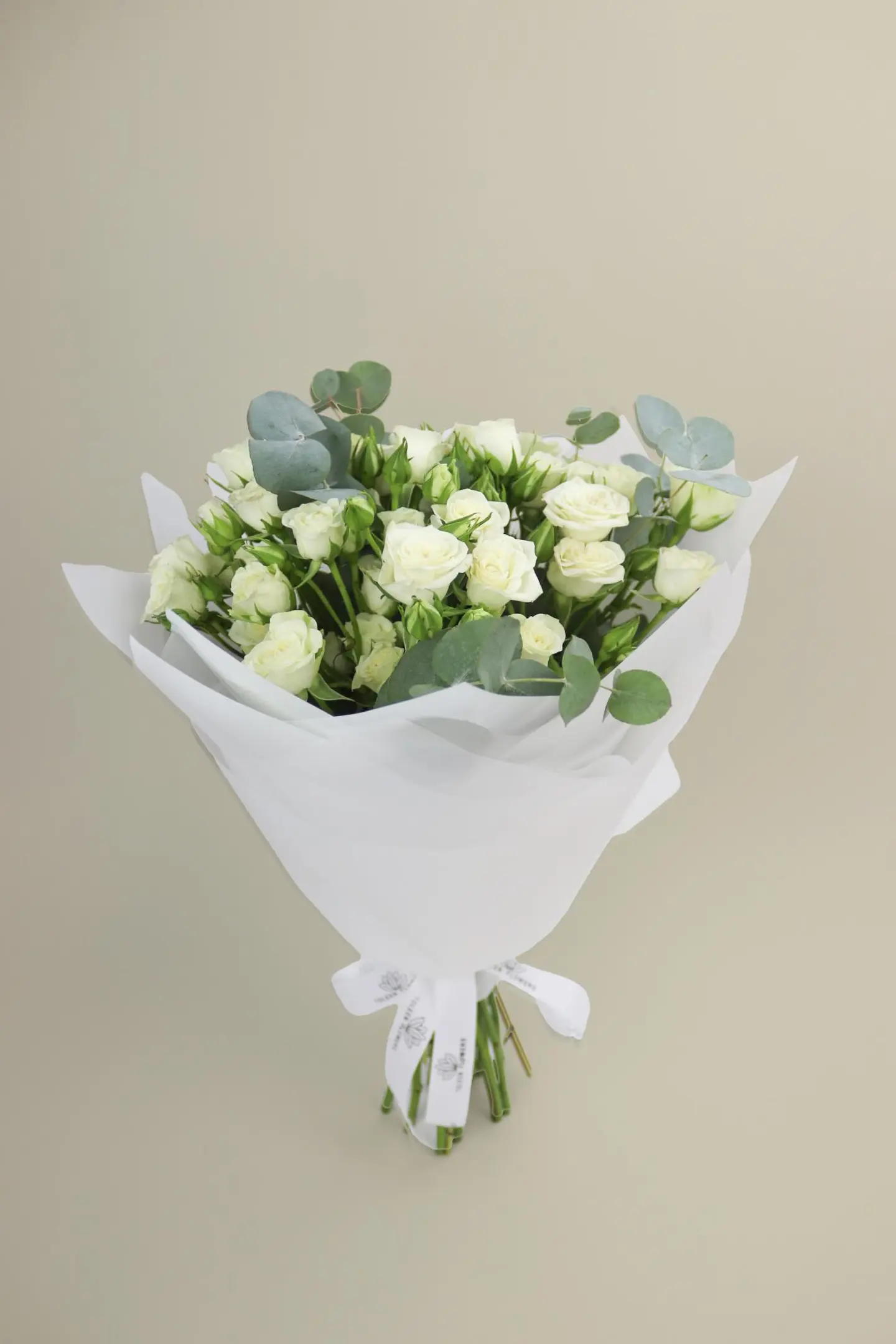 باقة الأنوار