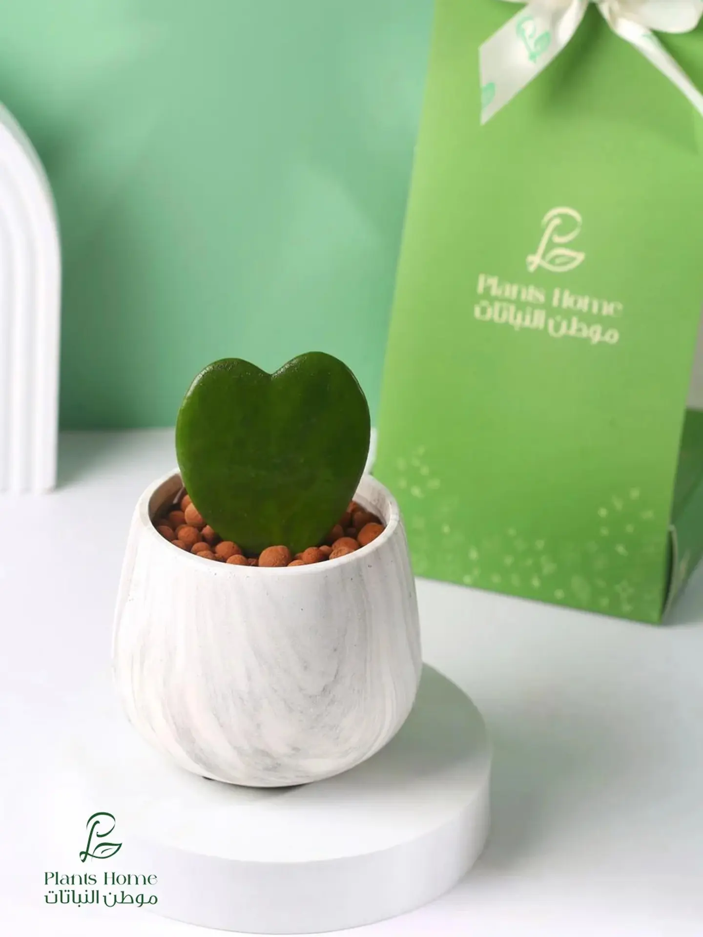 Luxury Gift Heart Plant In White Marble Pot, Elegant Box & Gift Card