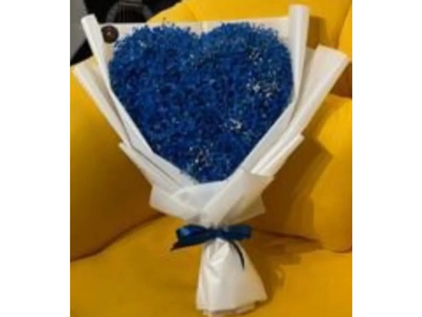 قلب ازرق جبسو وسط
