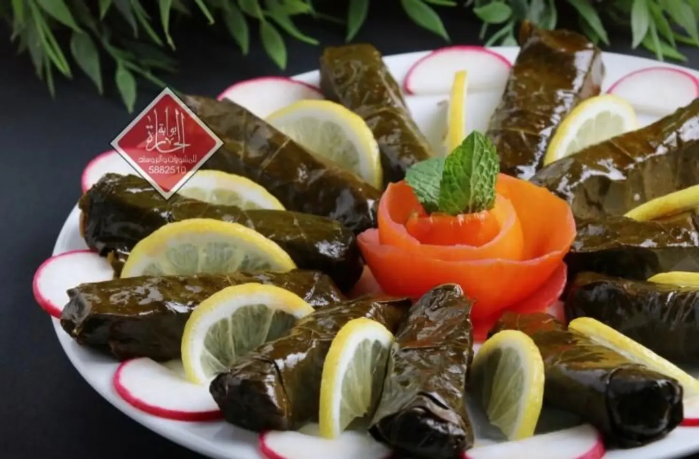 ورق عنب طازج