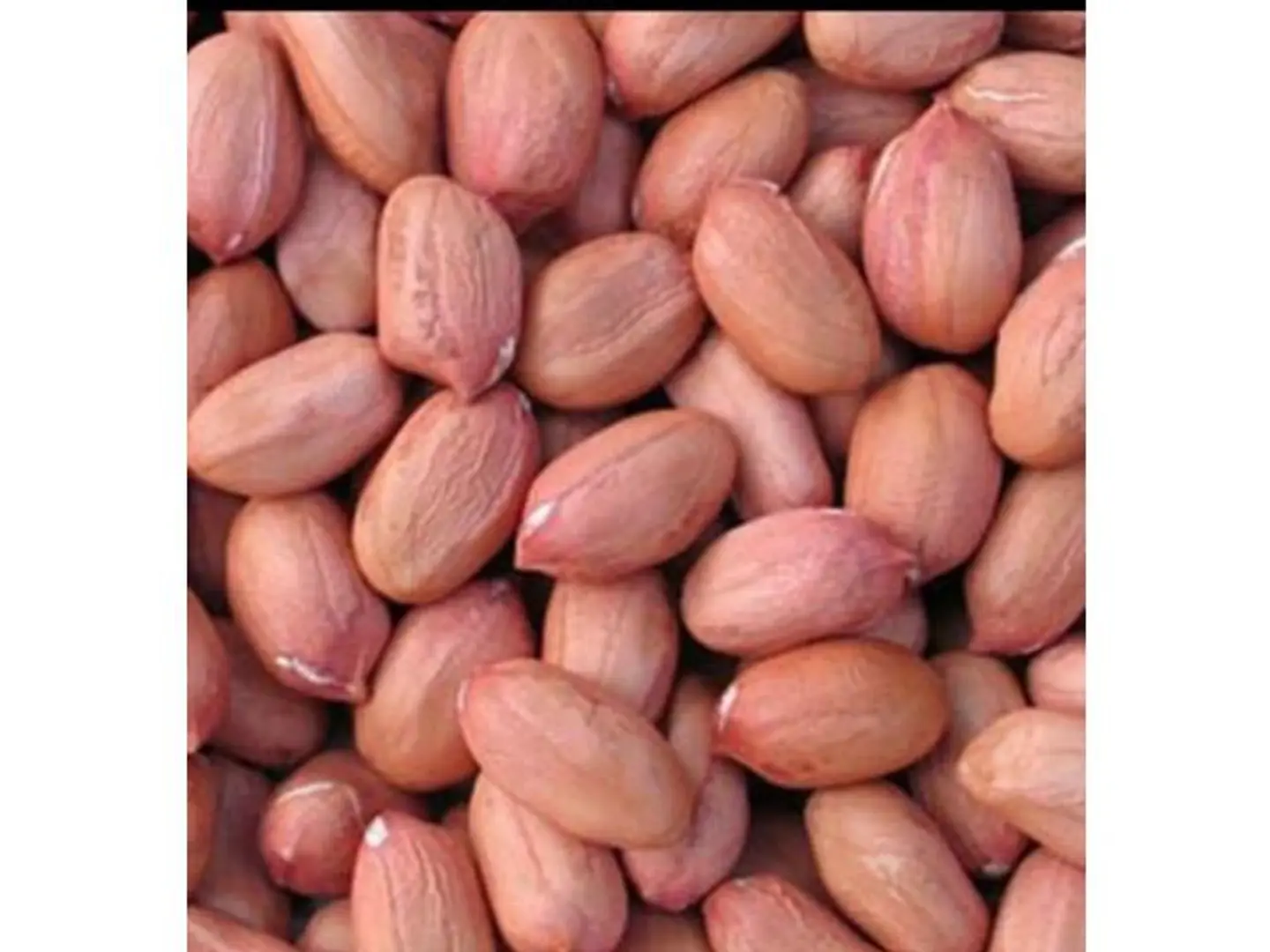 Shelled Peanuts Unsalted